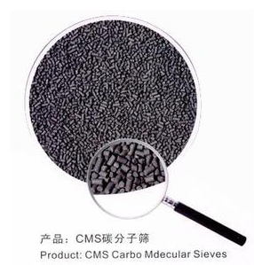 CMS220L碳分子筛